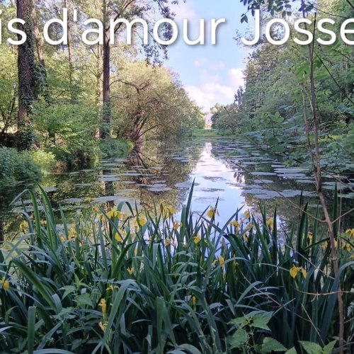 Bois d'amour Josselin