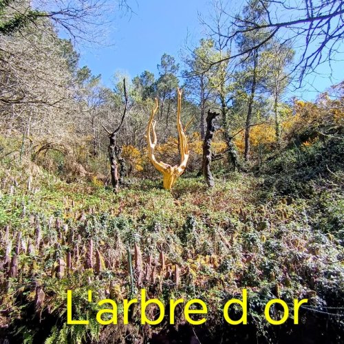 l'arbre d'or broceliande
